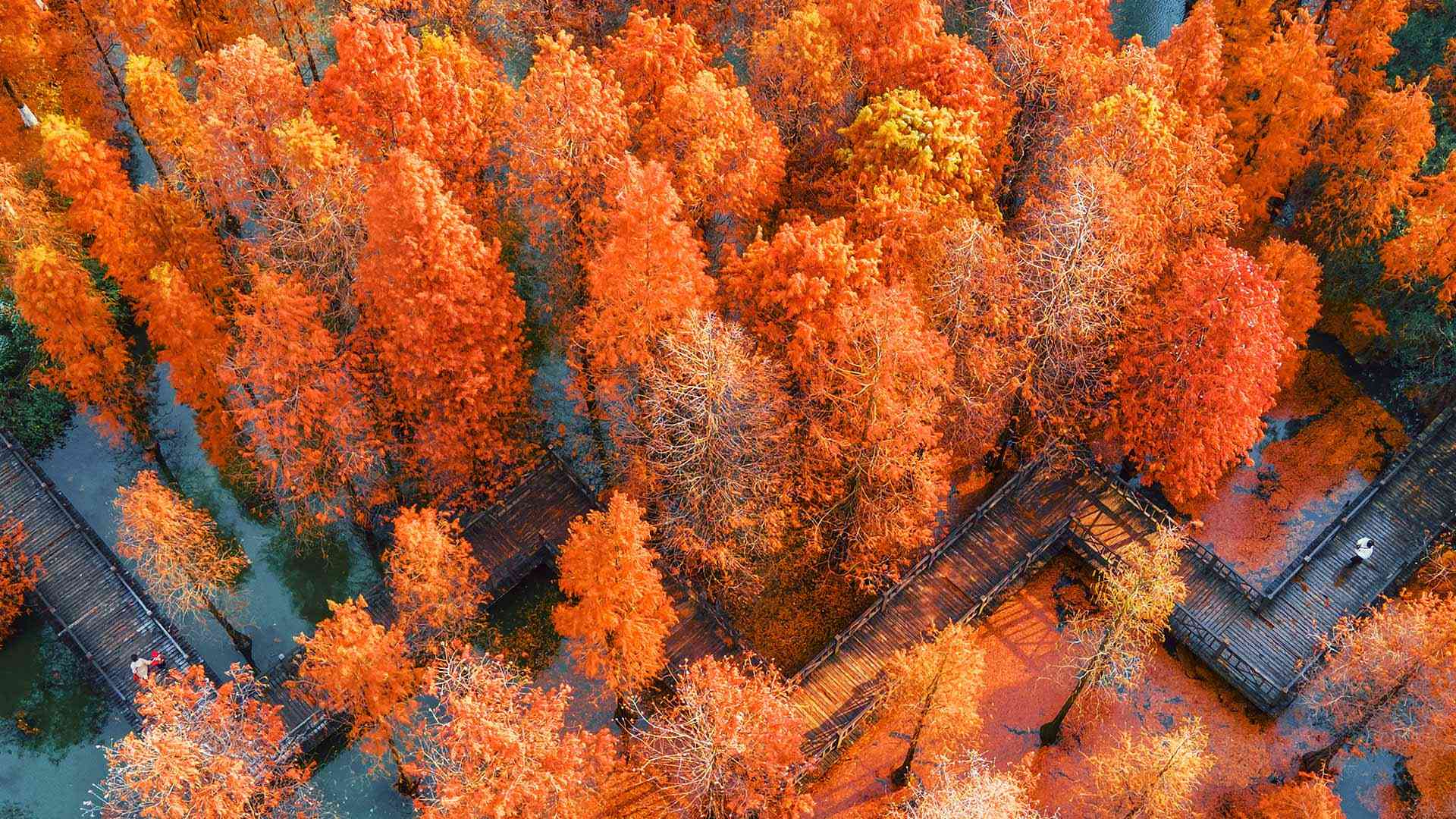 航拍中国江苏省常州翠竹公园